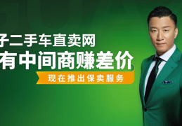 辽宁瓜子二手车直卖网(阜新瓜子二手车)