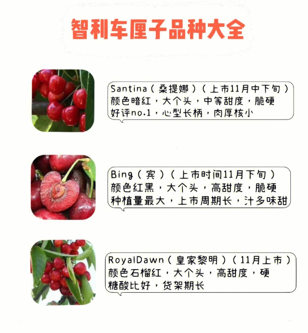 车厘子品种排名前十(车厘子品种排名前十英文)