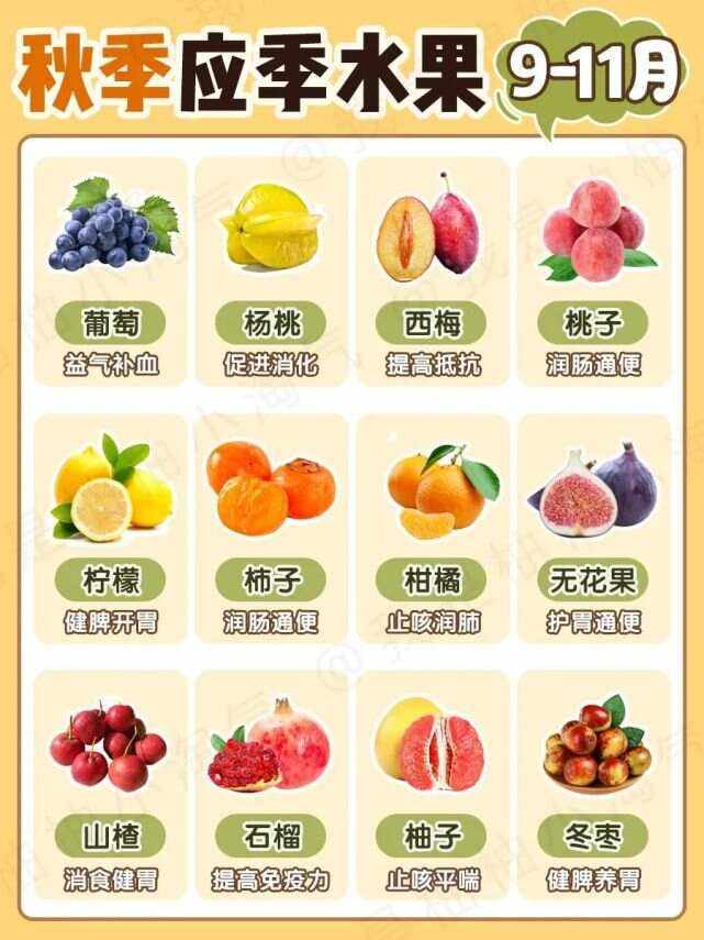 车厘子是几月的应季水果(车厘子是几月的应季水果中国)