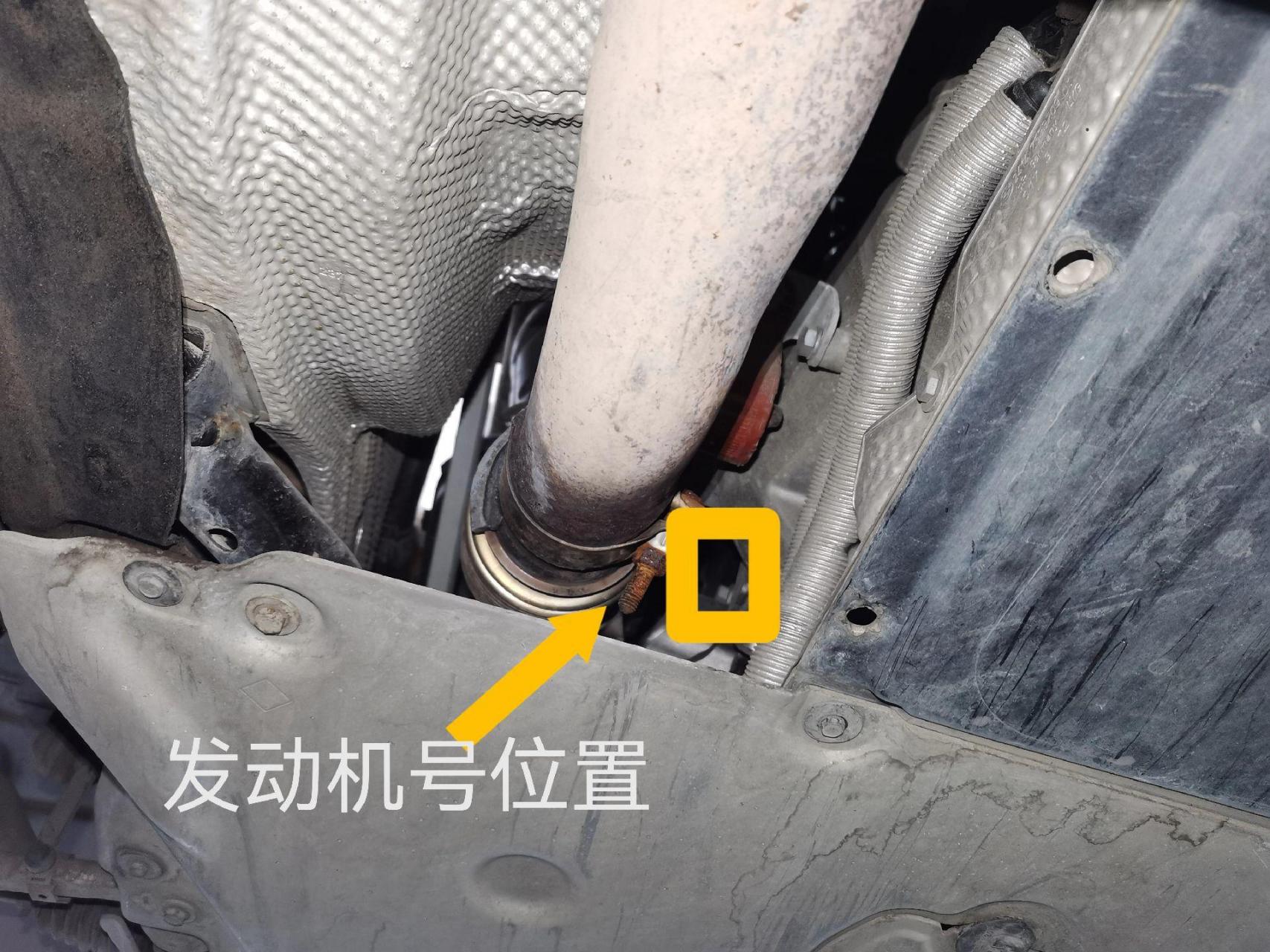 宝马车架号查询软件(宝马车架号查车辆信息)