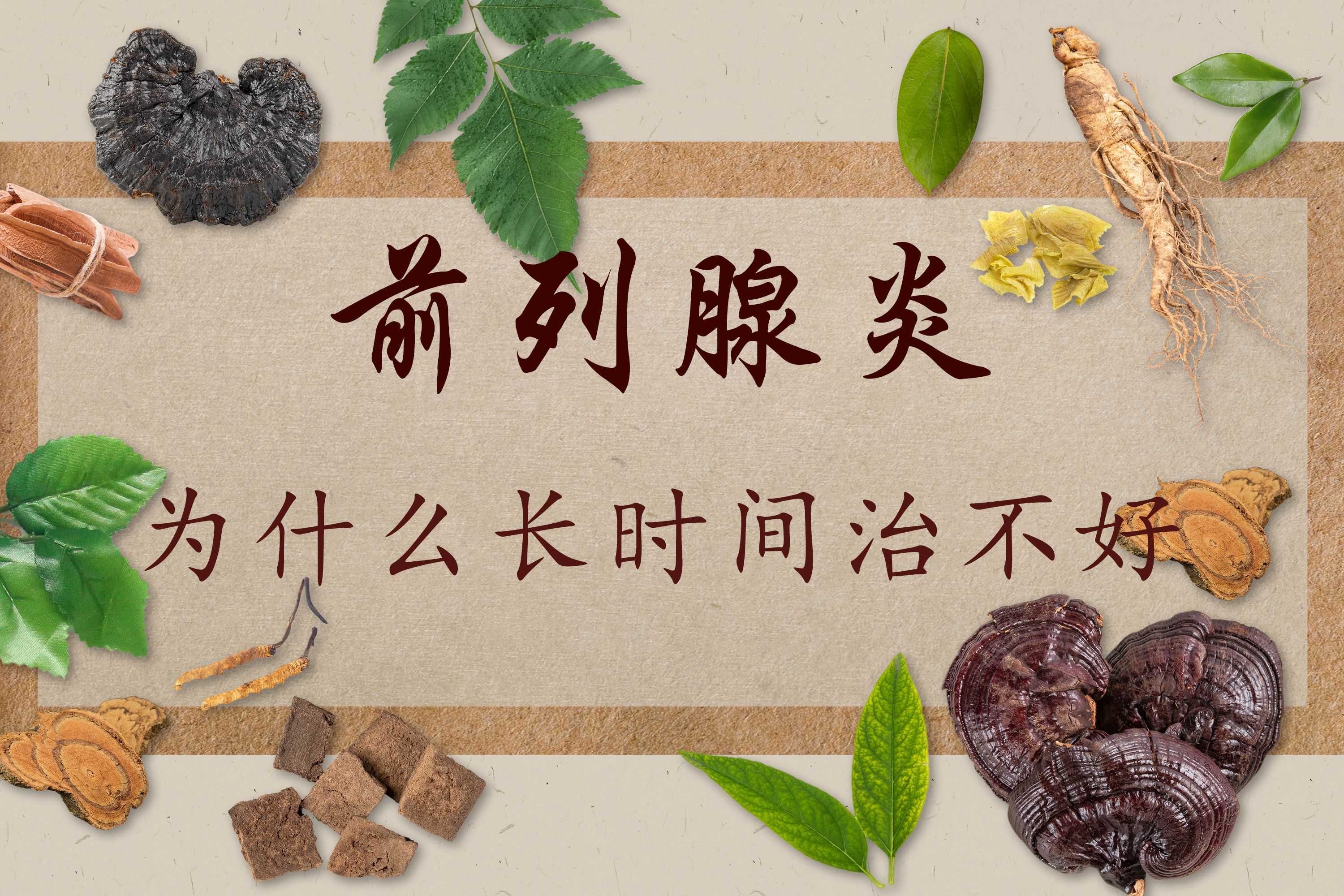 车前草治前列腺炎要喝多长时间(车前草能治前列腺炎要吃几次有效的)