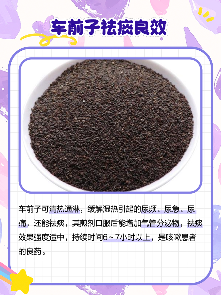 车前子的功效作用与主治(盐车前子的功效作用与主治)