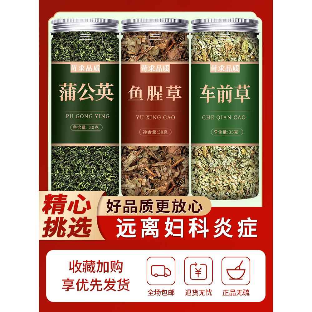 车前草煮水喝有什么作用与功效(车前草煮水喝有什么作用与功效蒲公英)