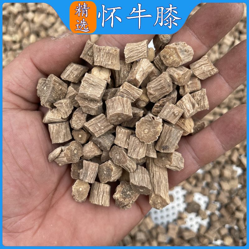 川牛膝功效作用与主治(鸡血藤的功效作用与主治)